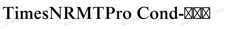 TimesNRMTPro Cond字体转换